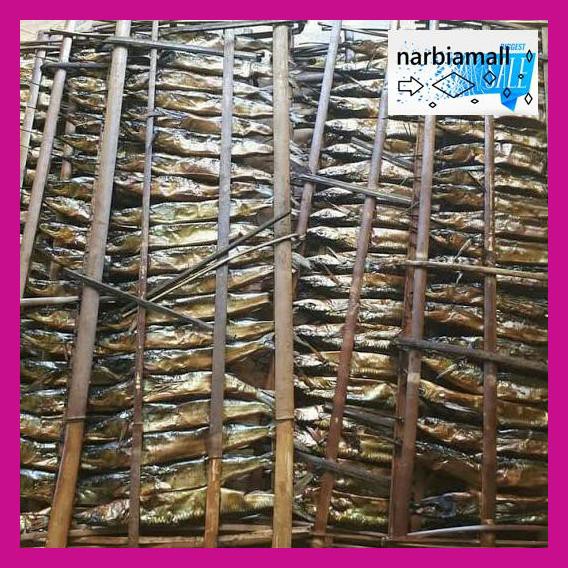 

U8Tyuj7- Ikan Roa 1 Gepe 20 Ekor E4Wr46-