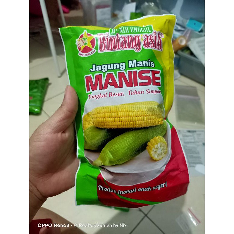 SB30/20 - benih biji bibit unggul kemasan seribu ecer repack jagung manis manise bintang asia