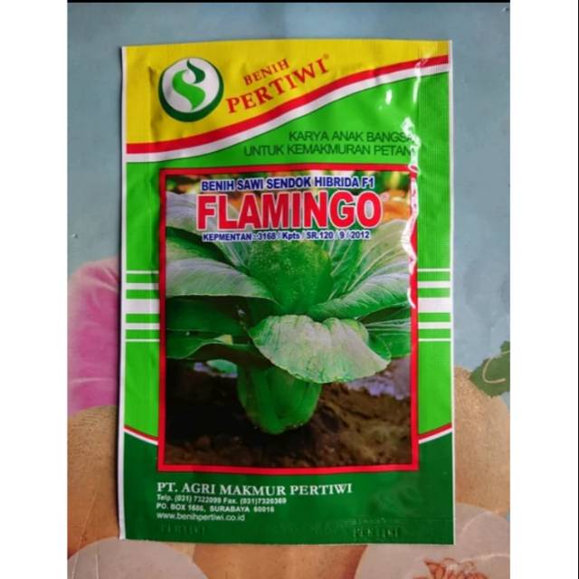 Benih Bibit Sawi Sendok FLAMINGO 50gr