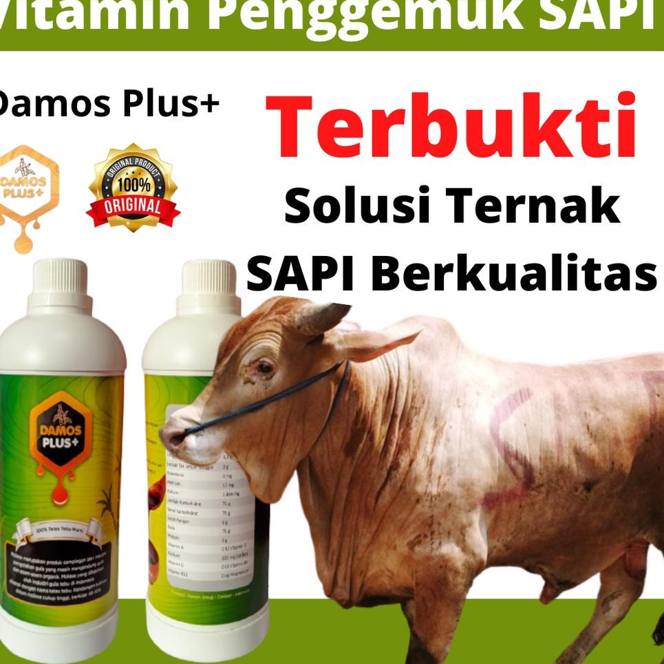 (L-AHQ <➸}) PROMO | Obat Cacing Sapi / Vitamin Sapi Cepat Gemuk DAMOS PLUS+ Tetes Tebu Murni Obat Pe