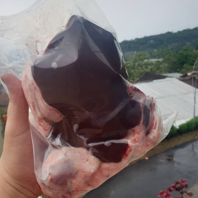 

Hati Kambing Muda Fresh