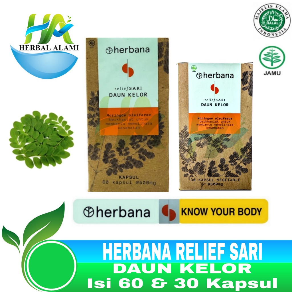 Herbana Relief Sari Daun Kelor - Herbana Kapsul