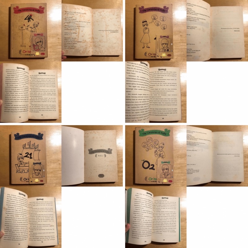 The Chronicles of Audy (Preloved)