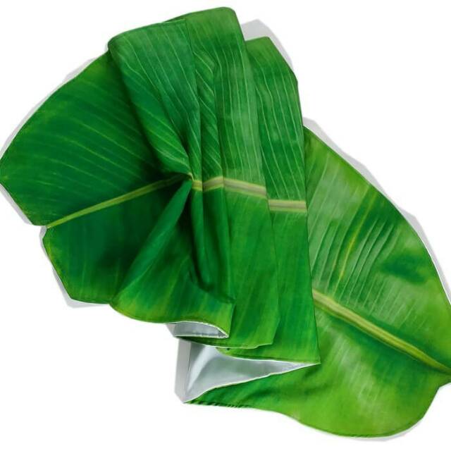 Paling Populer 12 Gambar Lucu Uang Daun Pisang Richa Gambar Paling Populer 12 Gambar Lucu Uang Daun Pisang Richa Gambar