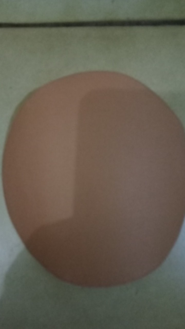 Amplas Bulat Velcro Gold 5 Inch Grit 600 - Amplas Tempel