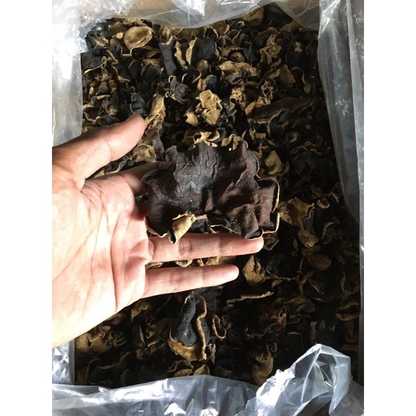 

Jamur kuping kering / jamur kuping SU brand / bokji / dry fungus