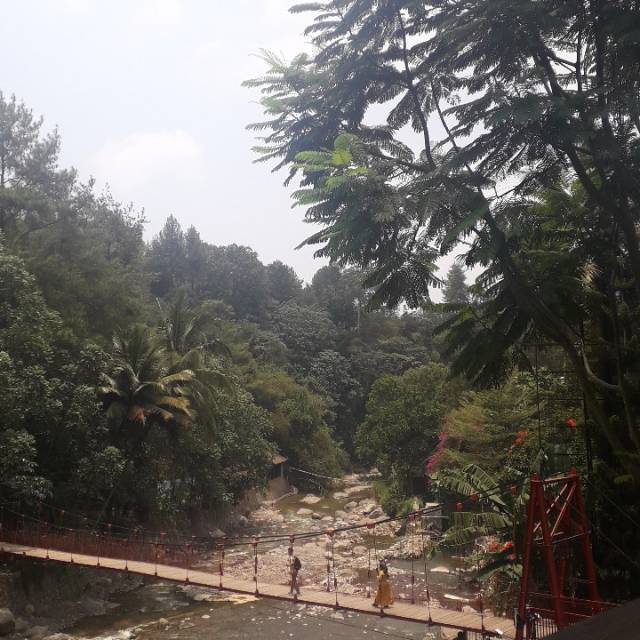 the_tampan