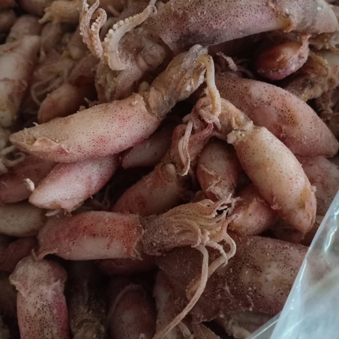 

Q0121Sa Ikan Cumi Asin Kering/Sotong Kering Per 500Gr D5qs44