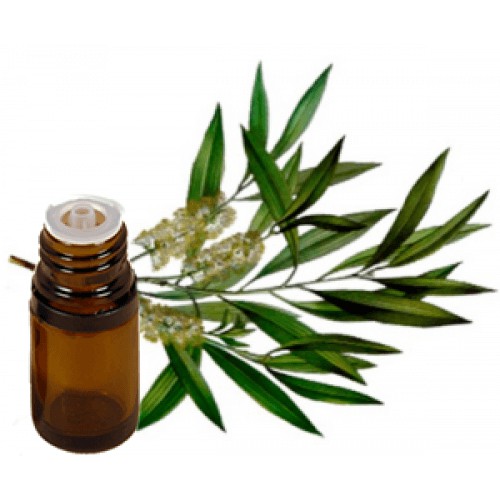 Tea Tree Essential Oil 25 ml Minyak Atsiri Pohon Teh Melaleuca alternifolia