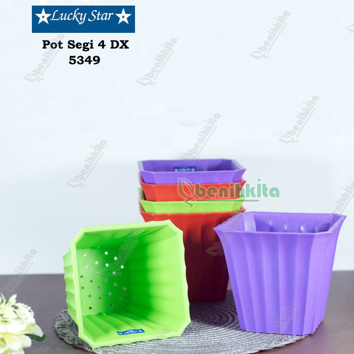 Pot Tanaman-Bunga Segi Violeta 5349-DX (Lucky Star)