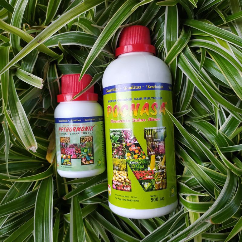 PUPUK ORGANIK NASA 1 PAKET / PUPUK NASA ORI / POC NASA 500CC / HORMONIK NASA 100CC / PUPUK PERANGSAN