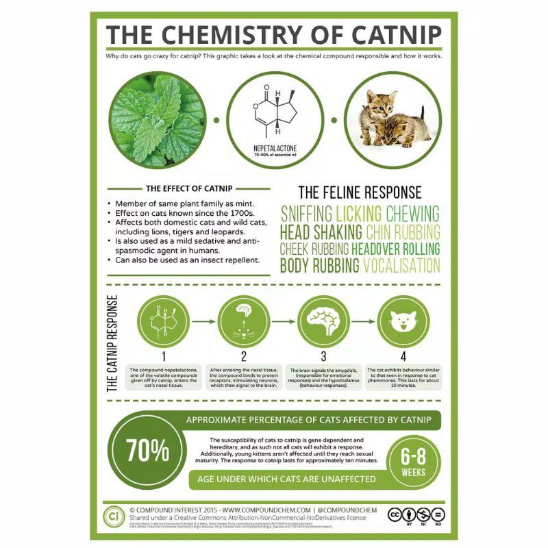 CATNIP STRESS RELIEF FOR CAT 40ml herbal alami penghilang stress dan menggembirakan kucing