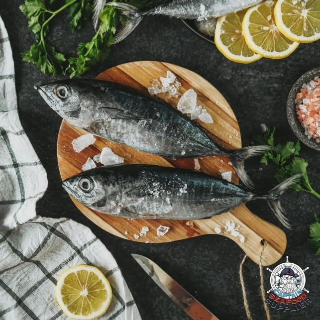 

❊ Ikan Baby Tuna Frozen ♫