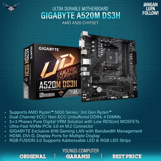 Gigabyte a520m v2