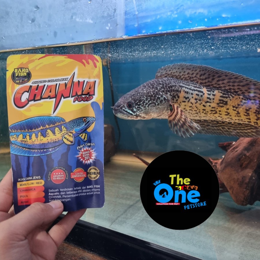 Bang Fish Pelet Cobrot Channa Food 50 gr | Auranti Barca Maru dll