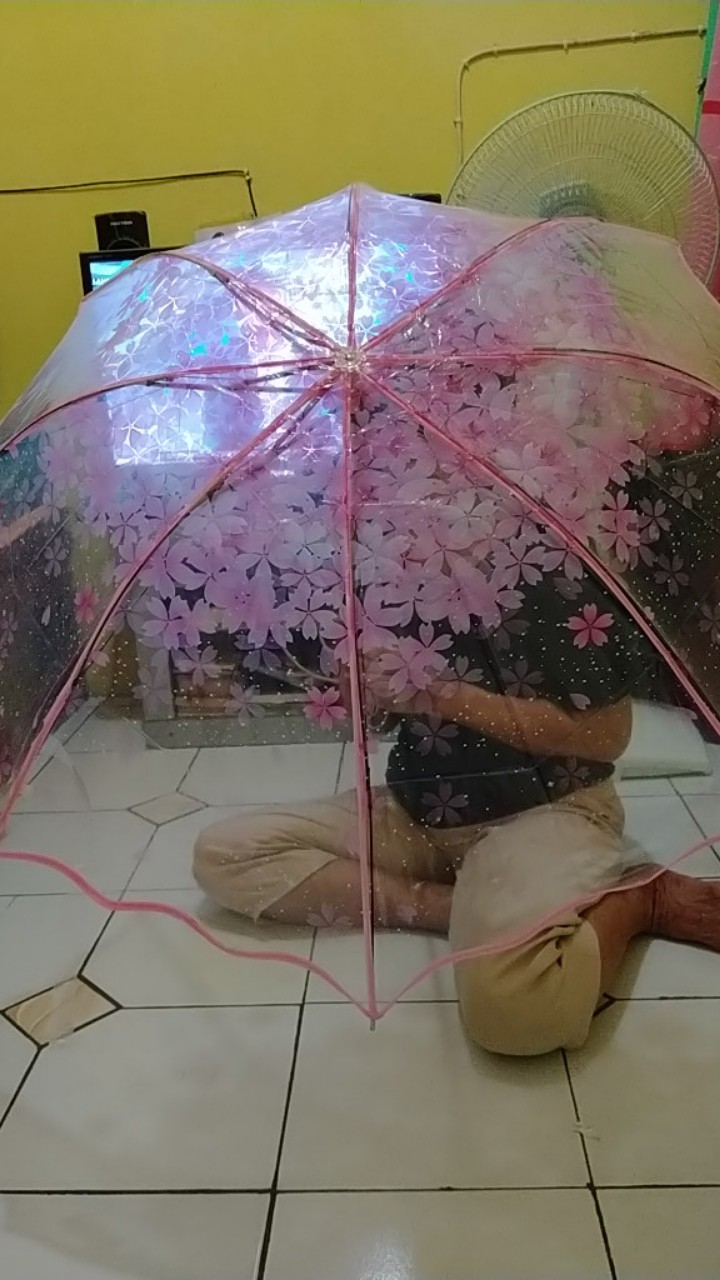Payung Jepang Lipat Motif Transparan Cherry Blossom - E023 Titangadget