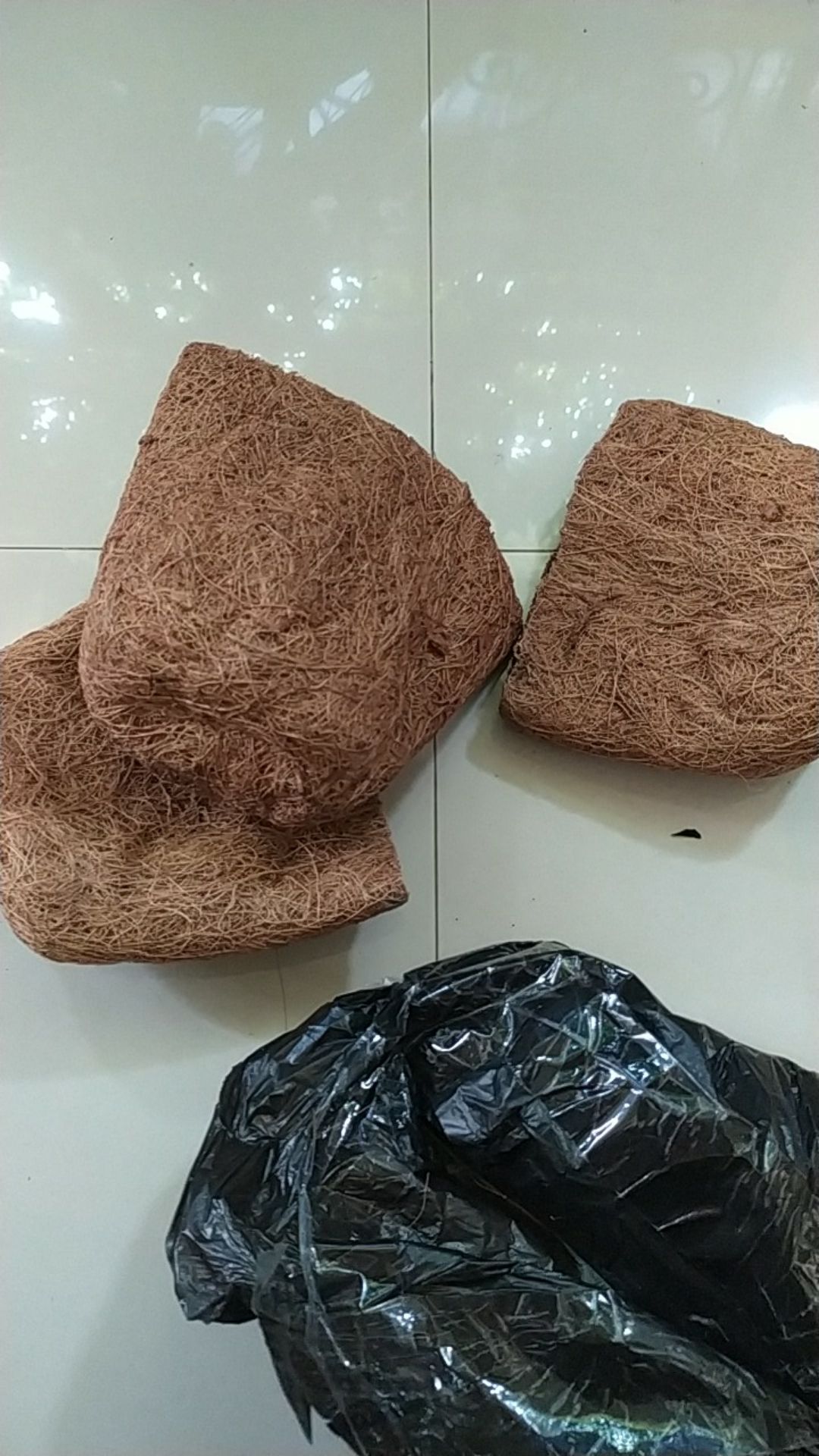 Promo Pot Anggrek Sabut Kelapa Unik Lucu Jual Promo