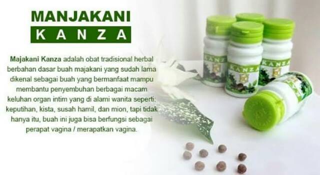 Manjakani kanza / majakanza /maja kanza / obat keputihan