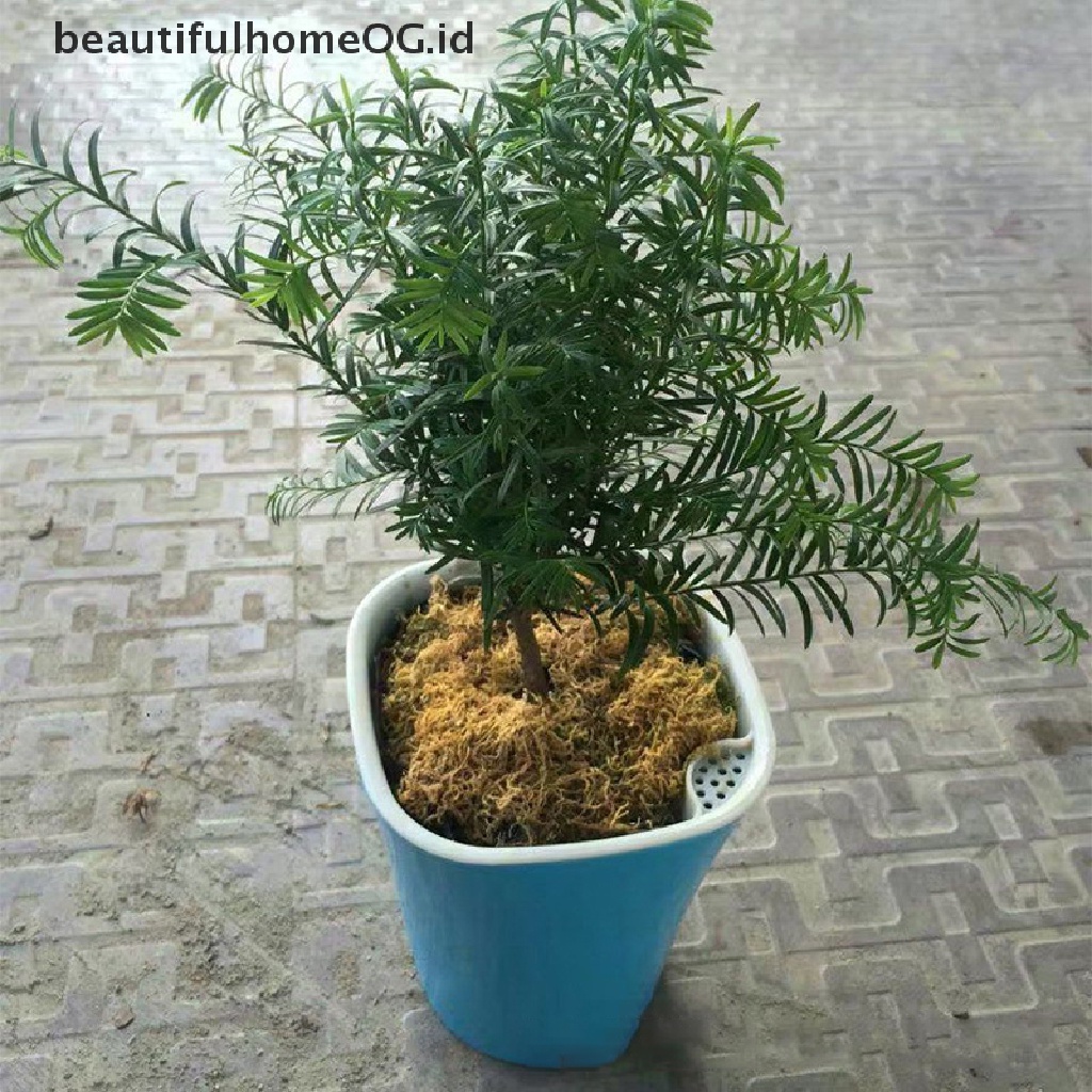 Pot Bunga Tanaman Irigasi Penyiraman Otomatis Untuk Berkebun