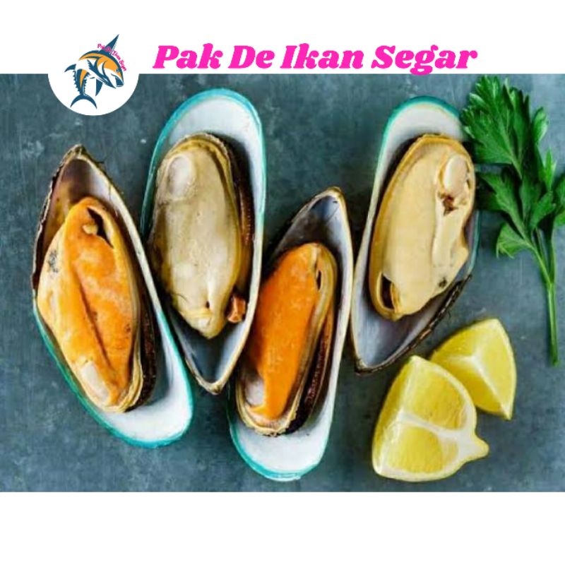 

Kerang Hijau Kupas Segar