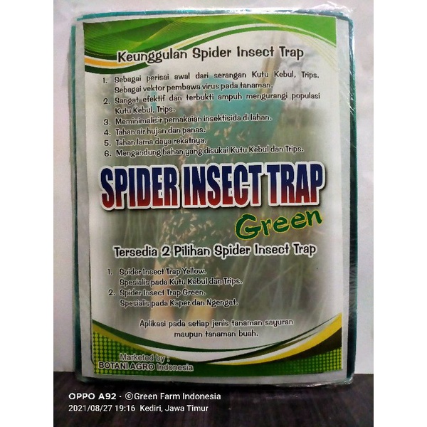 Spider Insect Trap Green 100 Lembar Perangkap Kutu Serangga trip ngengat dll