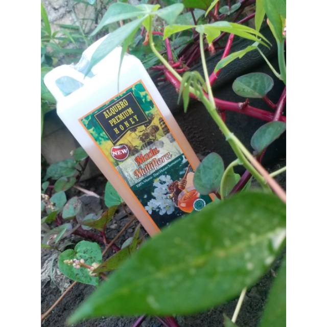 

Madu Multiflora Al Qubro Premium Honey 1000 gr