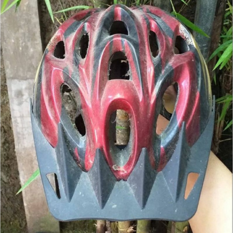 HELM GOWES