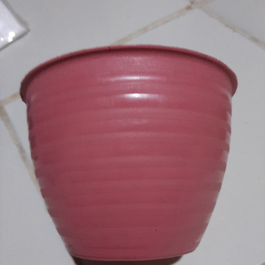 Pot Tawon SJP 20