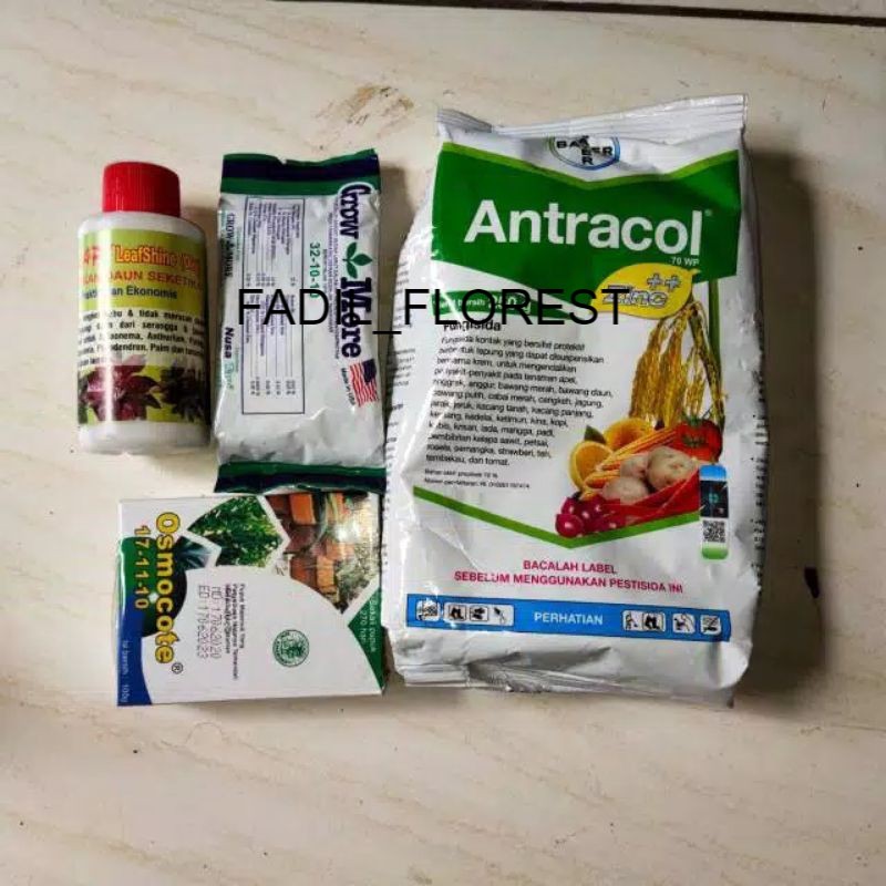 paket pupuk perawatan tanaman hias murah aglonema philodendron antracol b1 FADIL_FLOREST