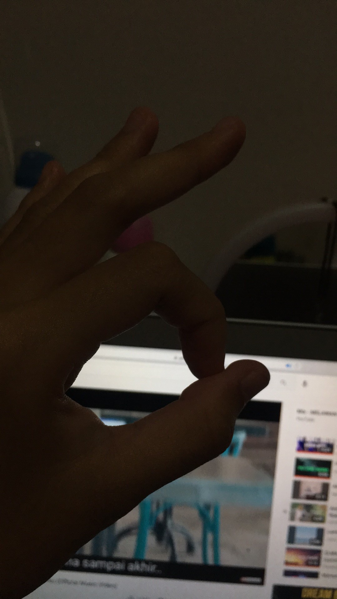 Sikat Kamar Mandi Gagang Kayu Panjang