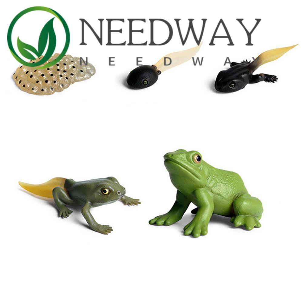 Needway  Educational Growth Cycle Model For Kid Life Cycle Figurine Simulation Animals Butterfly Growth Cycle Science Toy Kids Toy Insect Animals Teaching Material Plastic Models Action Figures