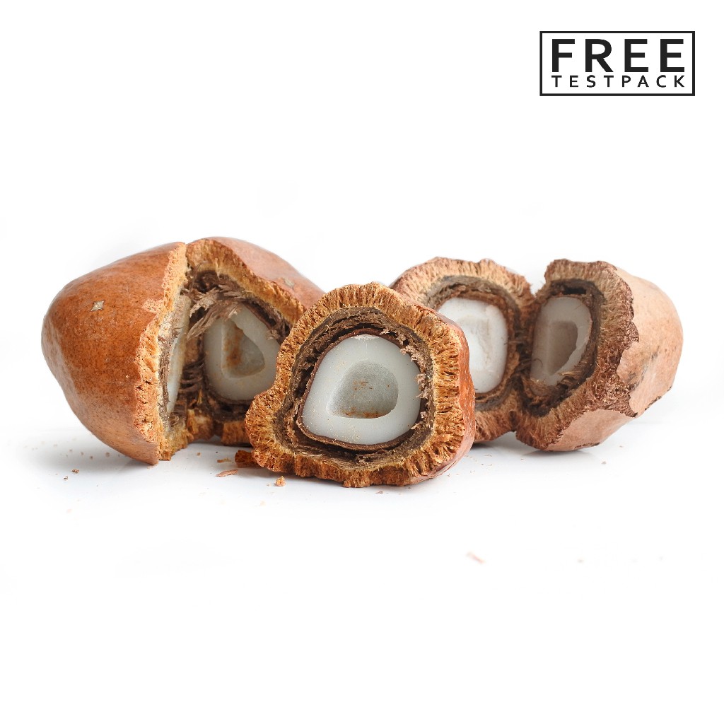 

Doum sudah di Belah siap Konsumsi | Zuriat Mesir Belah