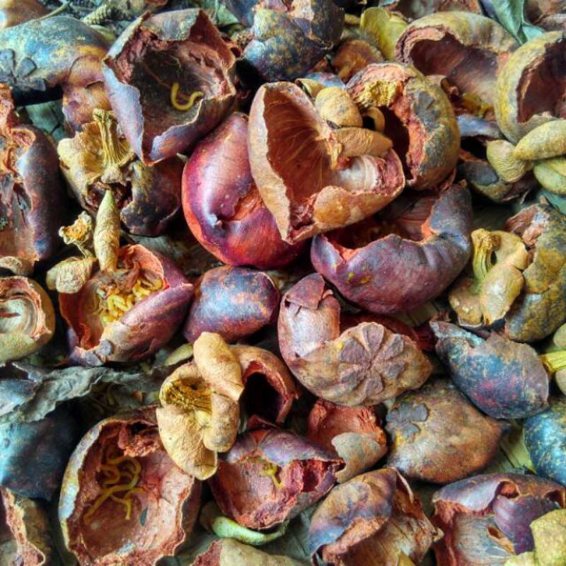 

KULIT MANGGIS KERING 100GR