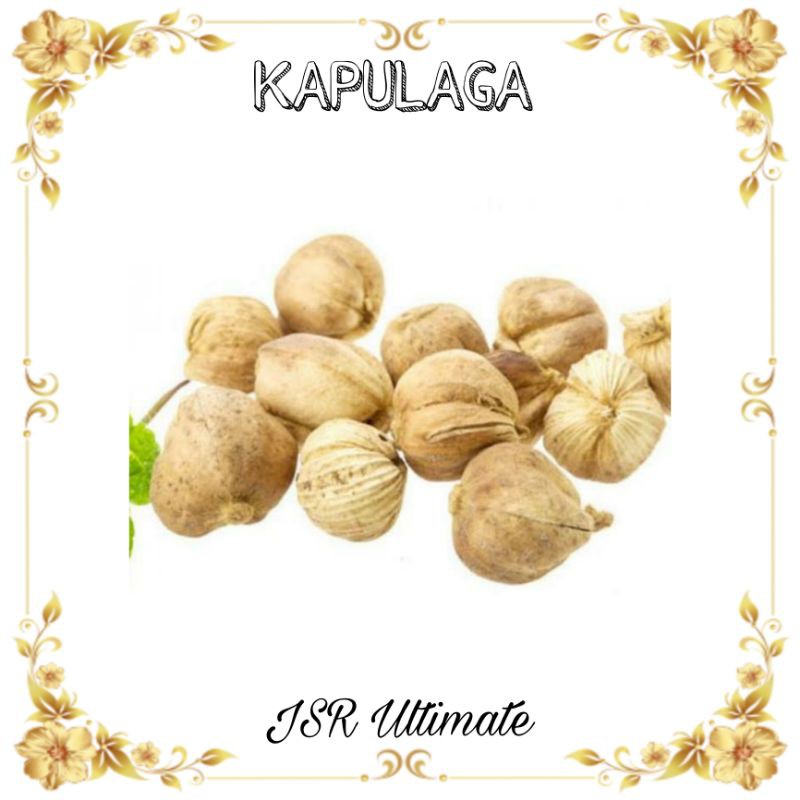 

Kapulaga Asli kemasan ekonomis