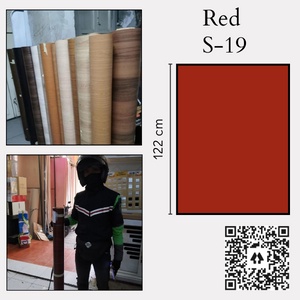 SUPERCON S19 RED