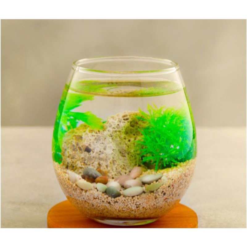 Aquarium ikan cupang mini Ukuran 475ml / Aguarium kecil kaca + batu hiasan