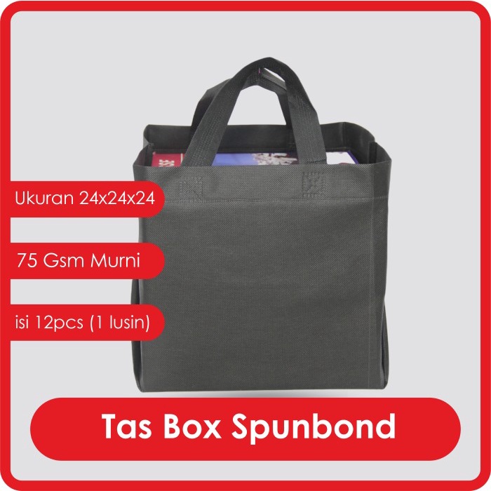 

Ginger- TAS BOX SPUNBOND HANDLE LUSINAN uk 24x24x24 / Goodie Bag Box Handle