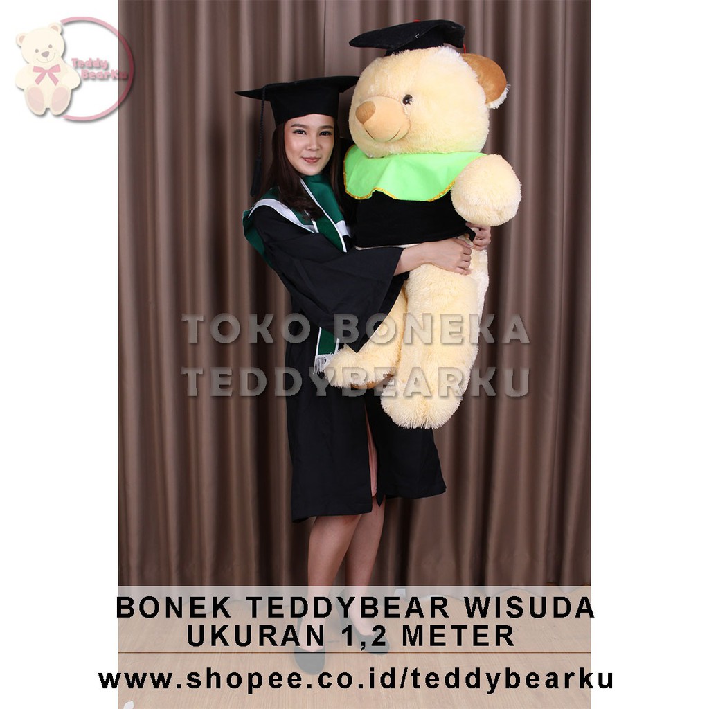 Teddy Bear Special Edisi Wisuda