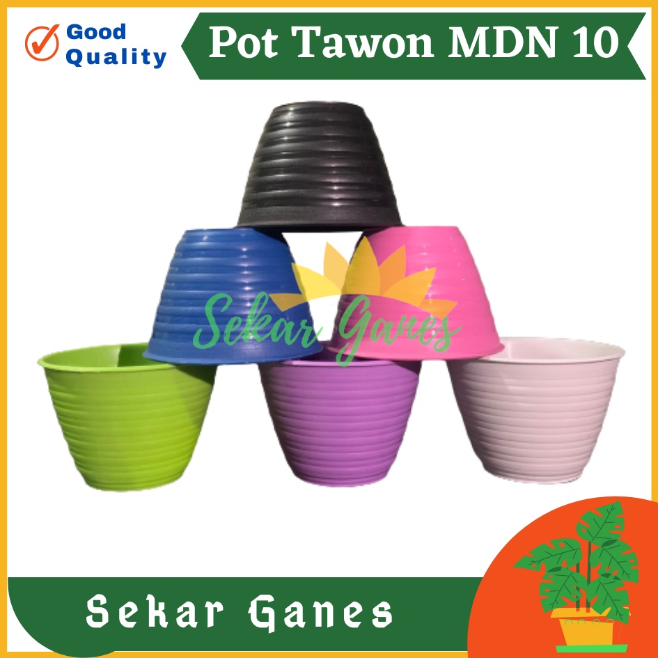 Promo Pot Tawon 10 Cm Putih Pot Mdn - Pot Tawon 10 Cm Pirus Putih  Warna Warni Termurah