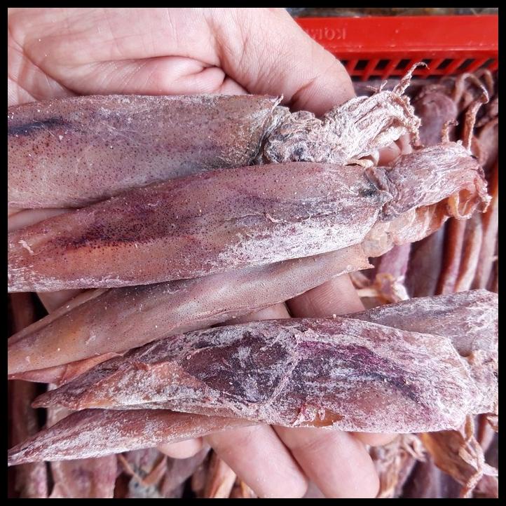 

Ikan Cumi Asin Ss Gepeng Kualitas Super