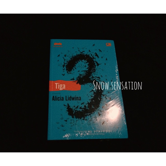 (SEGEL) NOVEL 3 (TIGA) - ALICIA LIDWINA