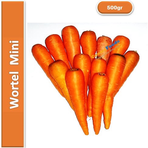 

Wortel Mini Curah - Carrot Babby | 500gr [ Harga Per 0,5 Kg ]