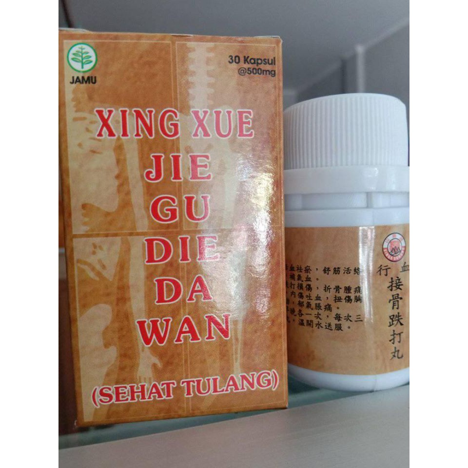 PENGOBATAN HERBAL UNTUK PATAH TULANG -- XING XUE JIN GU DIA DA WAN