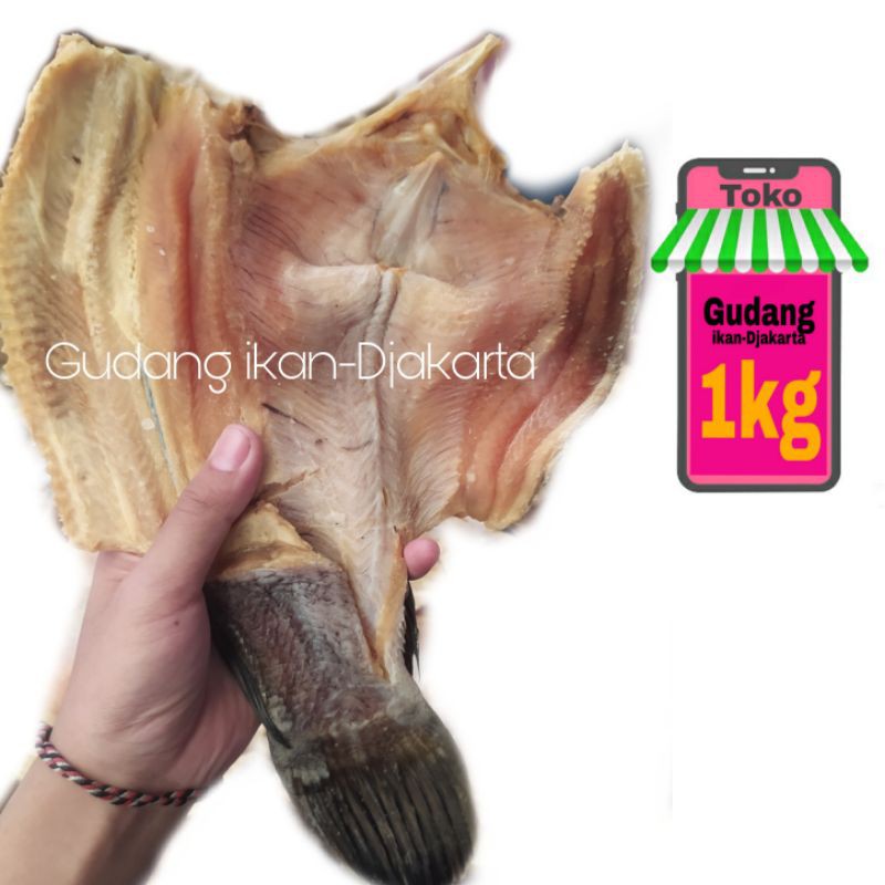 

ikan asin gabus kolam size besar netto-1kg
