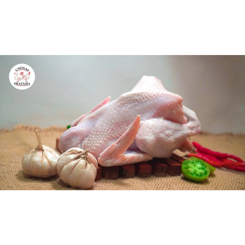 

TERMURAH! Ayam Potong Jantan 600gr Segar, NOT FROZEN! FREE Ati Ampela dan biaya potong