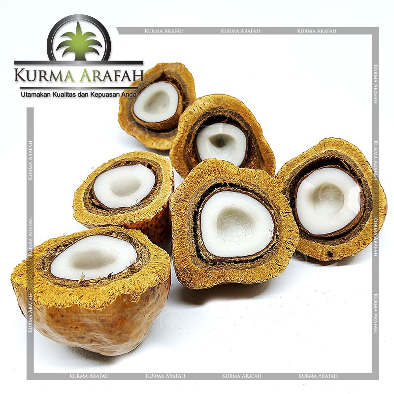 Buah Zuriat Belah, Doum, Yuriat, Buah Adam Hawa, Zuriat Nabi 1kg ORIGINAL ( Sudah Dibelah )