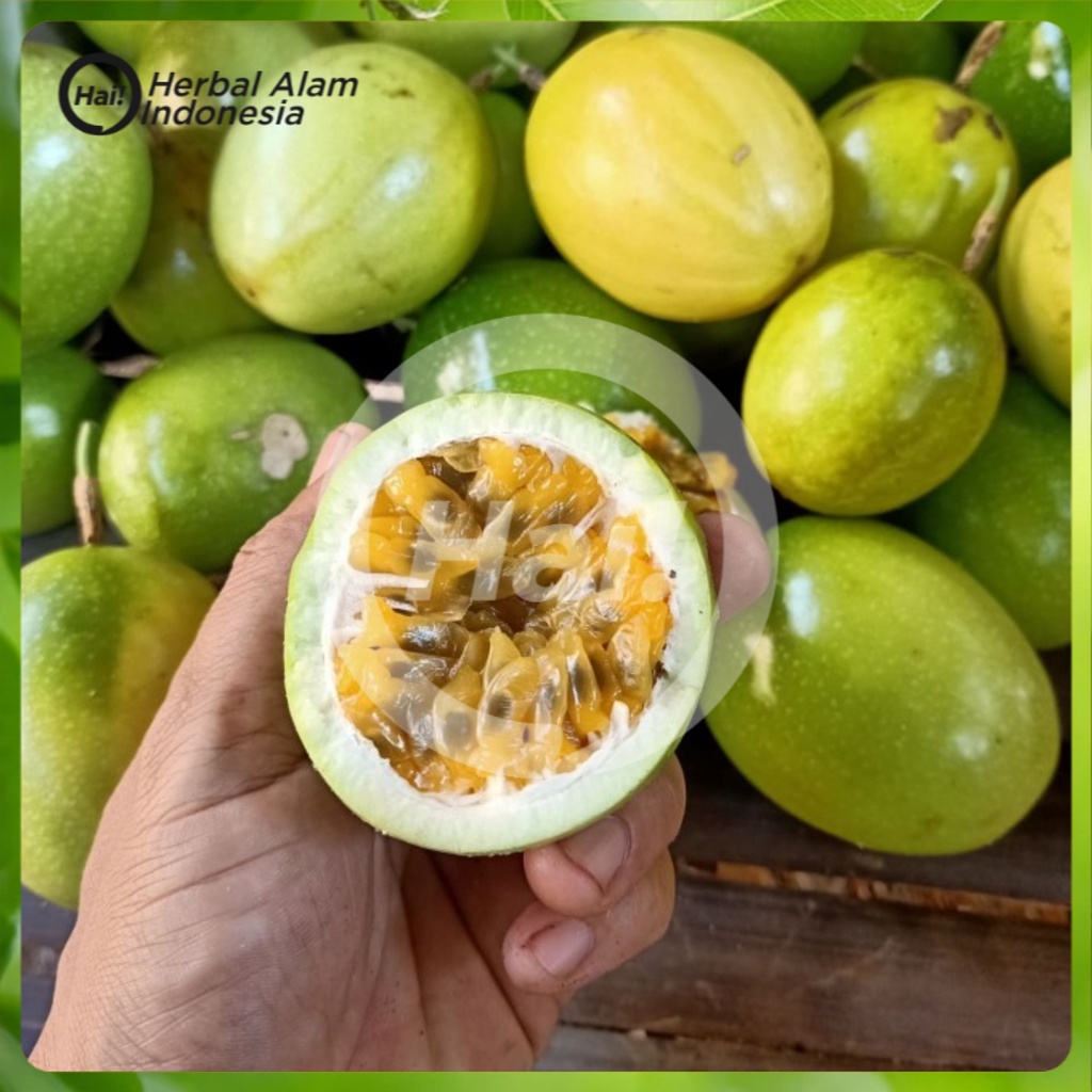 

BUAH MARKISA SEGAR 1 KG FRESH HAI STORE