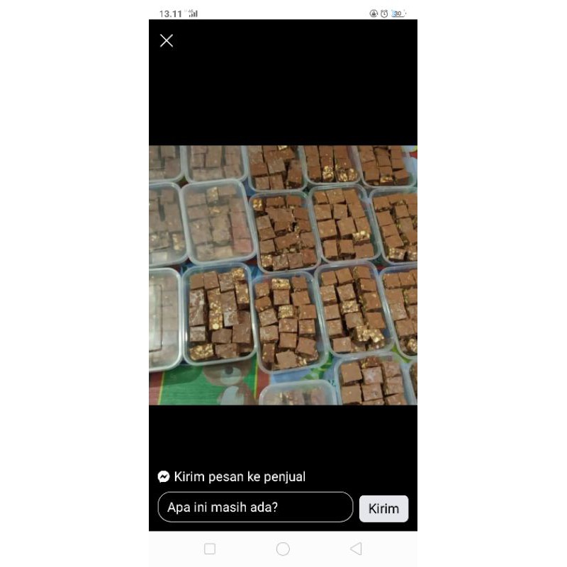 

kerikil silverqueen asli