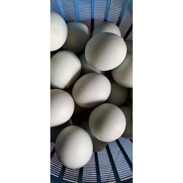 

telur asin super matang