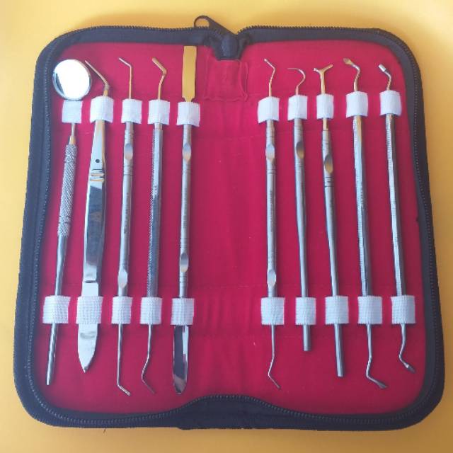 Dental Instrument Kit